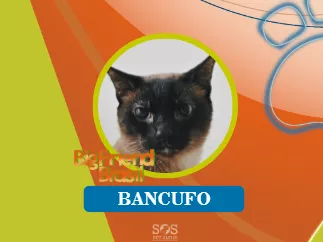 Conheça o Bancufo
