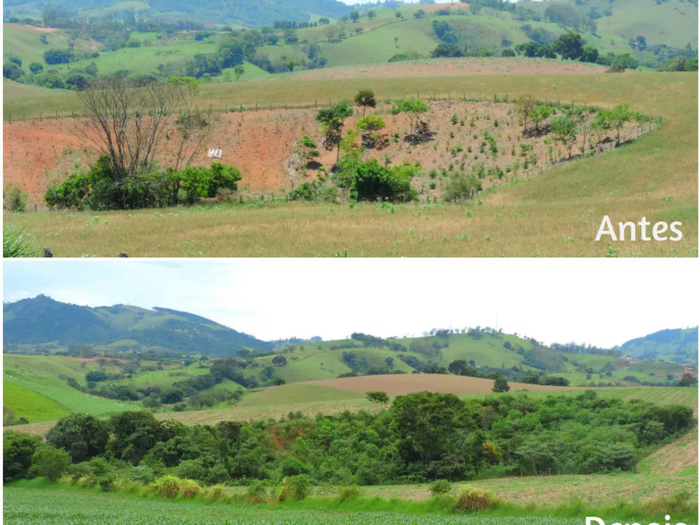Antes e Depois - Importância das Florestas!