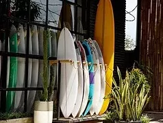 Campanha de doações de pranchas de surf