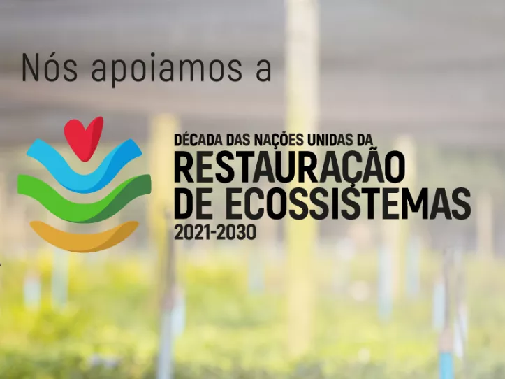 A Associação Ambientalista Copaíba se torna parceira oficial da Década da Restauração das Nações Unidas